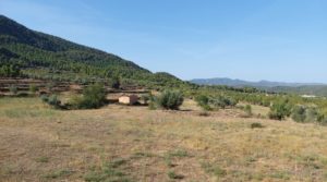 Finca en Fuentespalda con masía de adobe. a buen precio