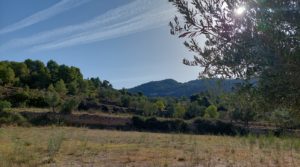 Finca en Fuentespalda con masía de adobe. para vender