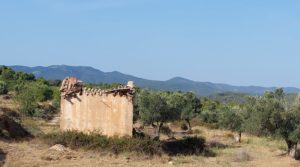 Foto de Finca en Fuentespalda con masía de adobe. en venta por 66.000€