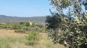 Finca en Fuentespalda con masía de adobe. a buen precio