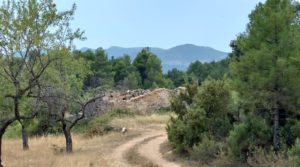 Finca en Fuentespalda, en la Sierra dels Ports en venta con privacidad