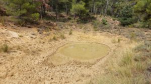 Foto de Finca en Fuentespalda, en la Sierra dels Ports en venta con tranquilidad