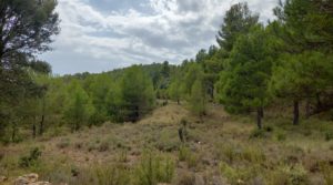 Foto de Finca en Fuentespalda, en la Sierra dels Ports con buenos accesos por 160.000€