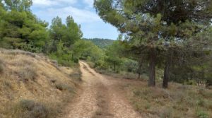 Finca en Fuentespalda, en la Sierra dels Ports a buen precio con tranquilidad