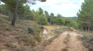 Detalle de Finca en Fuentespalda, en la Sierra dels Ports con buenos accesos por 160.000€