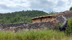 Detalle de Finca en Fuentespalda, en la Sierra dels Ports con privacidad