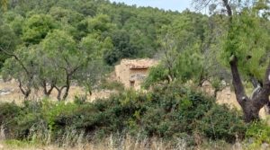 Foto de Finca en Fuentespalda, en la Sierra dels Ports con privacidad por 160.000€