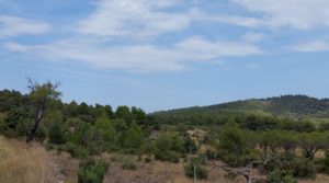 Finca en Fuentespalda, en la Sierra dels Ports a buen precio con tranquilidad