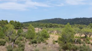 Finca en Fuentespalda, en la Sierra dels Ports en venta con tranquilidad