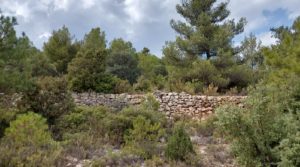 Foto de Finca en Fuentespalda, en la Sierra dels Ports en venta con buenos accesos por 160.000€