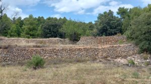 Foto de Finca en Fuentespalda, en la Sierra dels Ports con tranquilidad por 160.000€