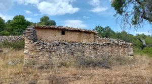 Detalle de Finca en Fuentespalda, en la Sierra dels Ports con privacidad