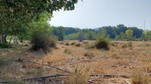 Detalle de Gran propiedad en Mas de Las Matas, Maestrazgo de Teruel. con agua abundante