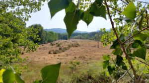 Detalle de Gran propiedad en Mas de Las Matas, Maestrazgo de Teruel. con buenos accesos