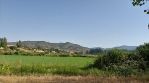Gran propiedad en Mas de Las Matas, Maestrazgo de Teruel. en oferta con buenos accesos