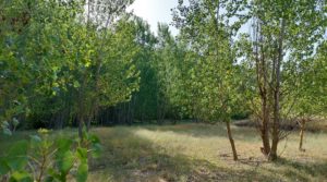 Vendemos Gran propiedad en Mas de Las Matas, Maestrazgo de Teruel. con agua abundante