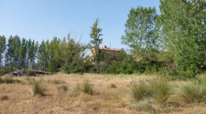 Se vende Gran propiedad en Mas de Las Matas, Maestrazgo de Teruel. con agua abundante