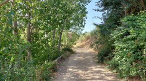 Foto de Gran propiedad en Mas de Las Matas, Maestrazgo de Teruel. con agua abundante por 96.000€