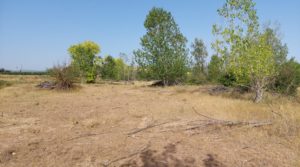 Foto de Gran propiedad en Mas de Las Matas, Maestrazgo de Teruel. con agua abundante por 96.000€