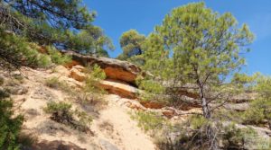 Finca de almendros y olivos en Fuentespalda. en venta con buenos accesos