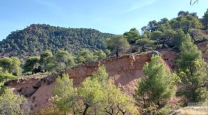 Finca de almendros y olivos en Fuentespalda. en oferta con buenos accesos por 33.000€