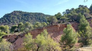 Finca de almendros y olivos en Fuentespalda. en oferta con buenos accesos por 33.000€