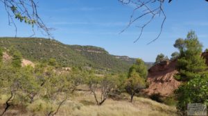 Finca de almendros y olivos en Fuentespalda. en oferta con buenos accesos