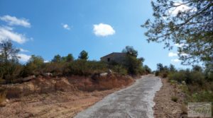 Se vende Finca con olivos centenarios y casa de piedra en Nonaspe. con olivos centenarios por 78.000€