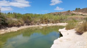 Foto de Finca con olivos centenarios y casa de piedra en Nonaspe. con agua por 78.000€