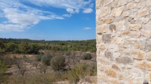 Finca con olivos centenarios y casa de piedra en Nonaspe. en oferta con agua
