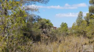 Finca con olivos centenarios y casa de piedra en Nonaspe. a buen precio con hermosas vistas por 78.000€