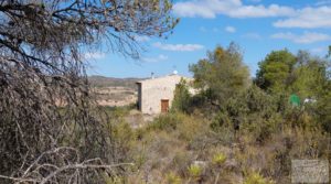 Detalle de Finca con olivos centenarios y casa de piedra en Nonaspe. con agua