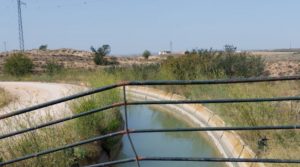 Foto de Finca de 7000 m2. en Alcañiz con taller de escultura.