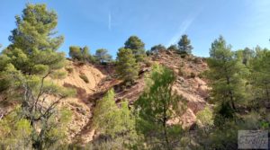 Detalle de Finca de almendros y olivos en Fuentespalda. con buenos accesos