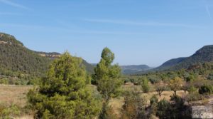 Finca de almendros y olivos en Fuentespalda. en oferta con privacidad y tranquilidad