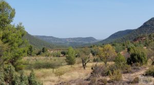 Detalle de Finca de almendros y olivos en Fuentespalda. con privacidad y tranquilidad