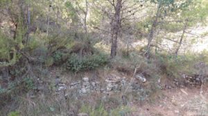 Foto de Finca de almendros y olivos en Fuentespalda. con buenos accesos por 33.000€