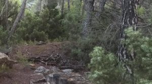 Foto de Finca de 22 hectáreas ubicada en el termino de Fórnoles. en venta con posibilidad de conectarse a la red de pública de agua por 136.000€