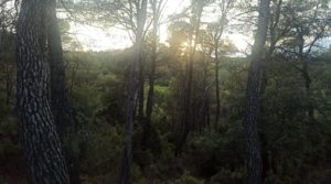 Foto de Finca de 22 hectáreas ubicada en el termino de Fórnoles. con belleza paz y tranquilidad por 136.000€