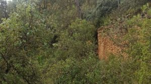 Foto de Finca de 22 hectáreas ubicada en el termino de Fórnoles. con posibilidad de conectarse a la red de pública de agua por 136.000€