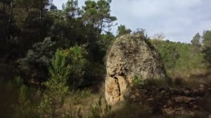 Vendemos Finca de 22 hectáreas ubicada en el termino de Fórnoles. con belleza paz y tranquilidad por 136.000€