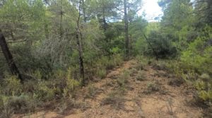 Foto de Finca de 22 hectáreas ubicada en el termino de Fórnoles. con belleza paz y tranquilidad