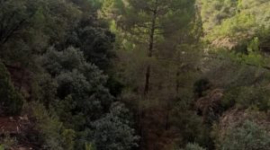 Finca de 22 hectáreas ubicada en el termino de Fórnoles. a buen precio con posibilidad de conectarse a la red de pública de agua por 136.000€