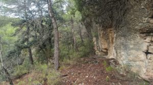 Detalle de Finca de 22 hectáreas ubicada en el termino de Fórnoles. con posibilidad de conectarse a la red de pública de agua por 136.000€