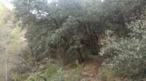 Foto de Finca de 22 hectáreas ubicada en el termino de Fórnoles. con posibilidad de conectarse a la red de pública de agua por 136.000€