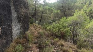 Finca de 22 hectáreas ubicada en el termino de Fórnoles. en venta con belleza paz y tranquilidad por 136.000€