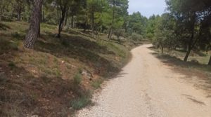 Foto de Finca de 22 hectáreas ubicada en el termino de Fórnoles. con posibilidad de conectarse a la red de pública de agua por 136.000€