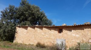 Finca de olivos con casa de campo en Cretas. a buen precio con buenos accesos por 85.000€