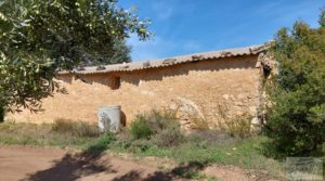 Finca de olivos con casa de campo en Cretas. en venta con buenos accesos
