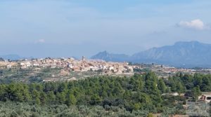 Finca de olivos con casa de campo en Cretas. para vender con buenos accesos por 85.000€